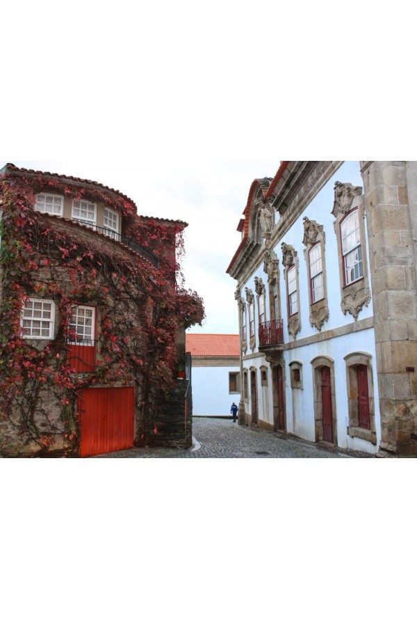 14/9 Trilho Aldeias Vinhateiras: Provesende ao Pinhão