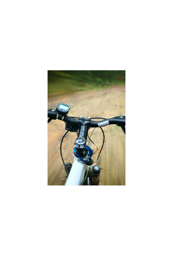 Aluguer de bicicletas (desde 1h)