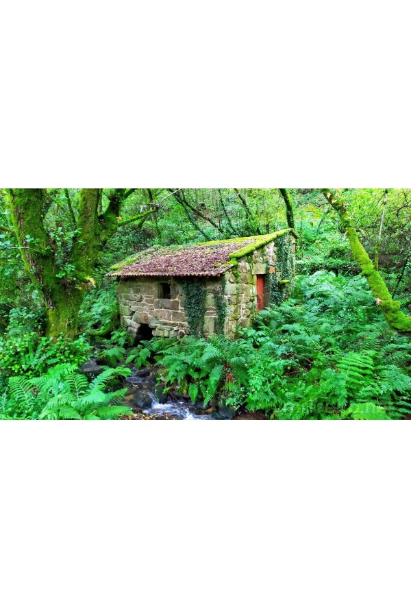 15/6 Rota Pedra e Água + Combarro