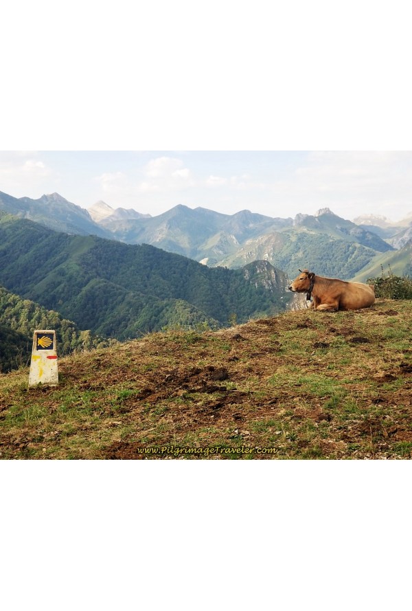 7/6 Caminho San Salvador - Astúrias (4 dias/4 etapas)