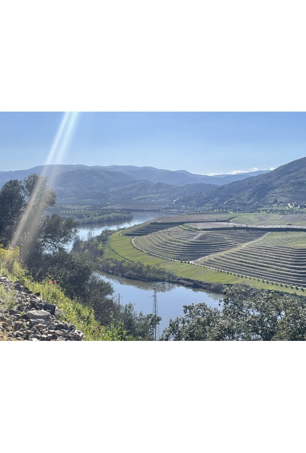 25/5 Ecopista Vale do Sabor - Larinho ao Pocinho