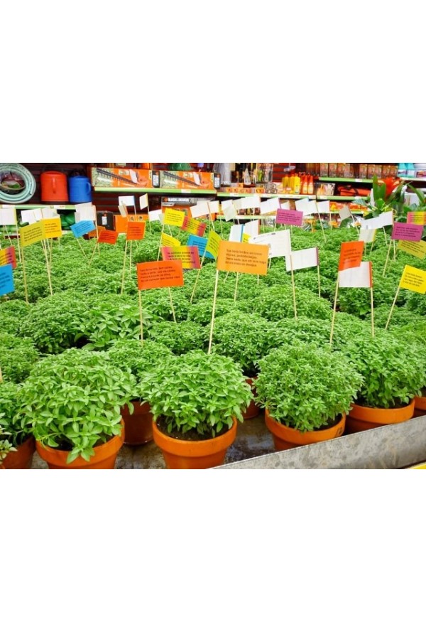 23/6 Trilhos Urbanos: O São João do Porto